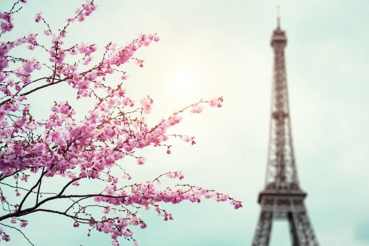 会期中はパリの名所に日本のアートが出現した　borchee-iStock