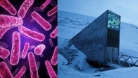 腸内細菌の多様性の危機：「微生物版 ノアの方舟」提案される