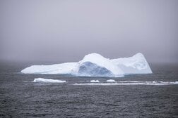【動画】南極海にいるはずのない、深海の「巨大生物」の正体