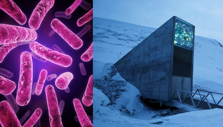 腸内細菌と作物多様性を保護するべく作られたスヴァールベル世界種子貯蔵庫　Eraxion-iStock, Heiko Junge-REUTERS