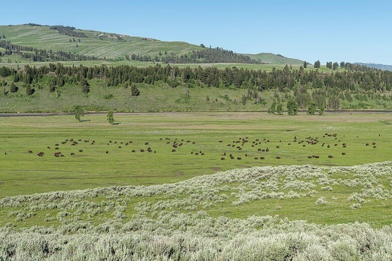 （写真はイメージです）　dvlcom - www.dvlcom.co.uk-Shutterstock