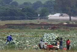 南ア経済規模5％上方修正、ナイジェリアとの差拡大