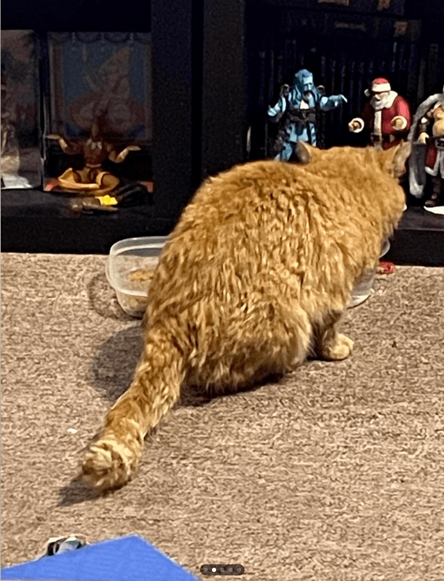 スクリーンショット (54).png