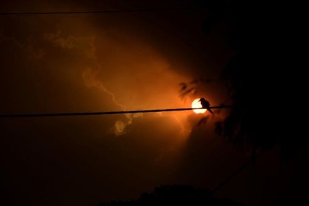 　１月２４日、英気象当局は、地球の大気中の二酸化炭素（ＣＯ２）濃度について、２０２０年は記録的な上昇になるとの予測を明らかにし、オーストラリアの森林火災も上昇加速の一因になるとの見方を示した。写真はニューサウスウェールズ州ナウラで４日撮影（２０２０年　ロイター／Tracey Nearmy）