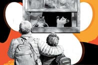 【人生相談】「猫嫌いの義父母にキレそう」ウィンウィンな解決策は？