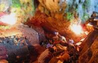 2万5000年前の堆積物からヒトの環境ゲノムが抽出される