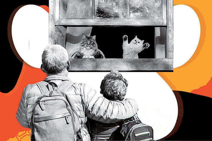 PHOTO ILLUSTRATION BY SLATE. PHOTOS BY TOMWANG112/ISTOCK/GETTY IMAGES PLUS, SEREGRAFF/ISTOCK/GETTY IMAGES PLUS AND THOMAS KELLEY/ISTOCK/GETTY IMAGES PLUS.