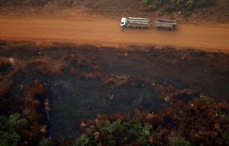 １２月９日、過去最低水準となったブラジルの政策金利やレアル下落が続く外為相場が、アマゾンの森林破壊を加速させている。写真はブラジル・ポルトヴェーリョ近くで、熱帯雨林から運び出される木材。９月撮影（２０１９年　ロイター/Bruno Kelly）