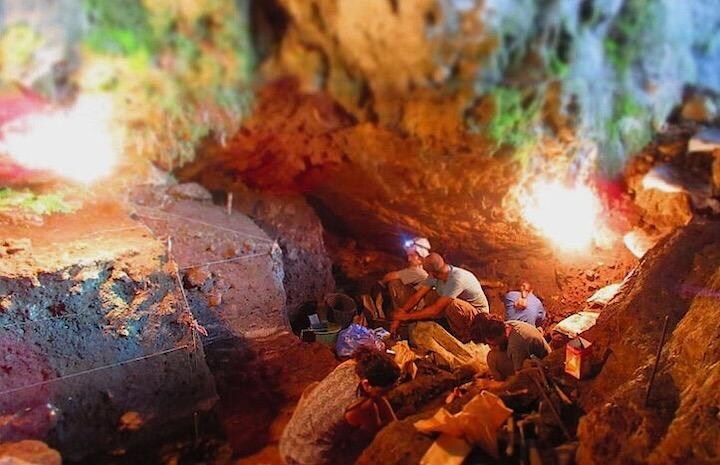 ジョージアのサツルブリア洞窟での発掘の様子 (C)Anna Belfer-Cohen