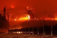 カリフォルニアワインの名産地ナパバレーでも山火事拡大　数千人に避難命令