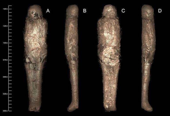 全身が泥で覆われた古代エジプト時代のミイラが初めて発見される