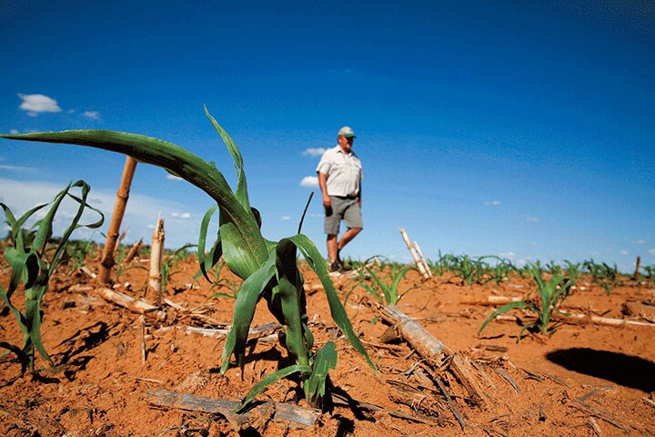 南アフリカのフリーステイト州にあるトウモロコシ畑を見回る農場主 SIPHIWE SIBEKO-REUTERS