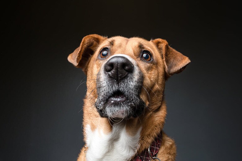 （写真はイメージです）　Nadezhda V. Kulagina-Shutterstock