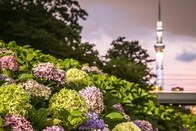 なぜ「構造改革論」が消えたのか