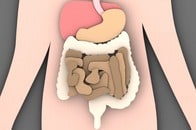 「腸が弱ると全身が乱れる」...消化器専門医がすすめる「腸を守る」3つの習慣とは？