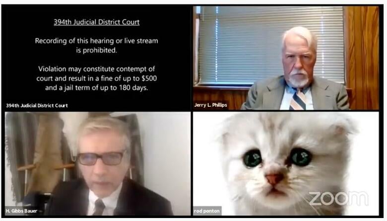 オンラインでの訴訟手続きで、弁護士が猫のフィルターで登場......Kitten Zoom Filter Mishap/YouTube