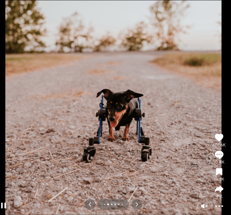 スクリーンショット 2025-09-03 19.13.50.png