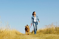 「結婚は人生の終着点」...欧米にも広がる非婚化の波、独身を選択した世界の若者は何を思う