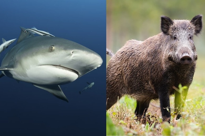 （写真はイメージです）　From Left:FionaAyerst-iStock, JMrocek-iStock