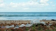 ＥＵの新包装規則が12日発効、ＰＦＡＳ・プラ廃棄物規制へ