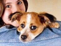 「いい子でちゅね」　成犬だって赤ちゃん言葉で話しかけられたい