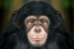 言葉の「彼岸」へ行くために─言葉を尽くした台風前夜─