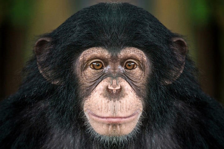 undefined undefined-iStock.