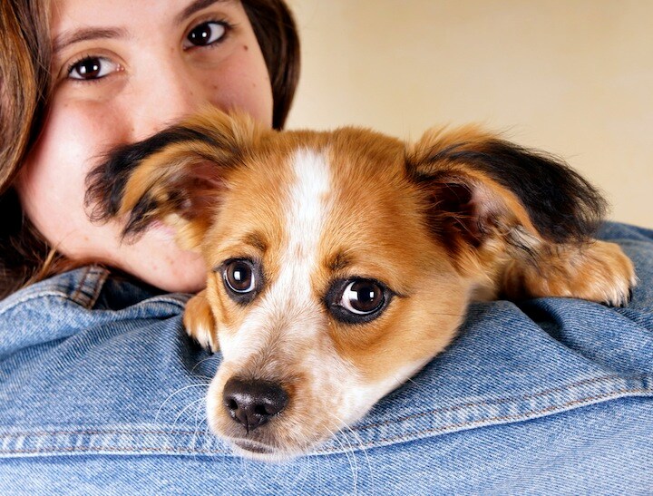 成犬だって赤ちゃん言葉で話しかけられたい Giambra-iStock