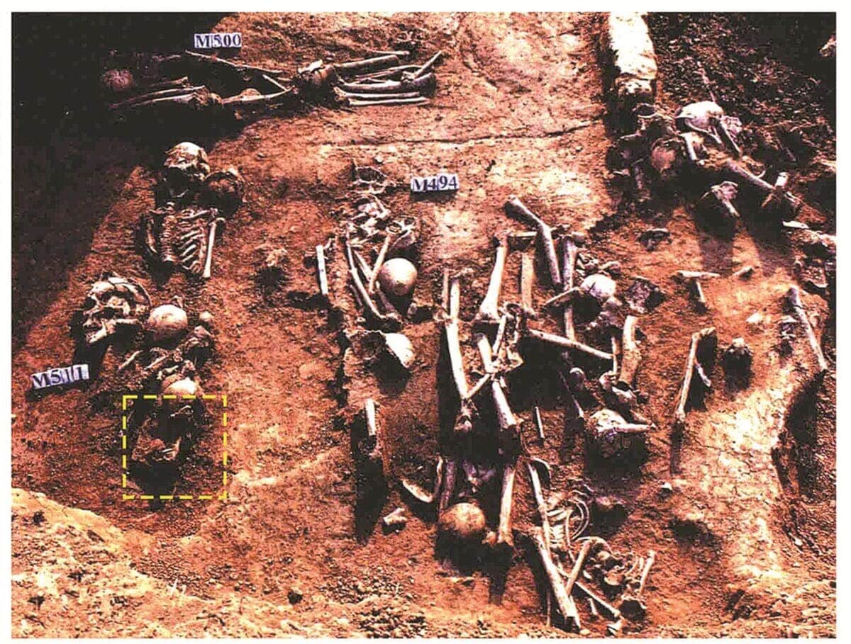 拾った骨 中国産 一体なぜ、子供の遺骨に「肉を削がれた痕」が？中国・河南省で