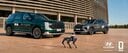 Hyundai Motor