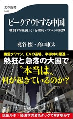 『ピークアウトする中国――「殺到する経済」と「合理的バブル」の限界』