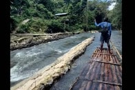 「それって、死体？...」新婚旅行中の男性のビデオに映る「生白い脚」にSNS震撼、驚きの正体は？