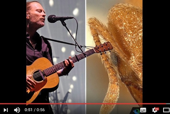 NewsBeat Social/YOUTUBE