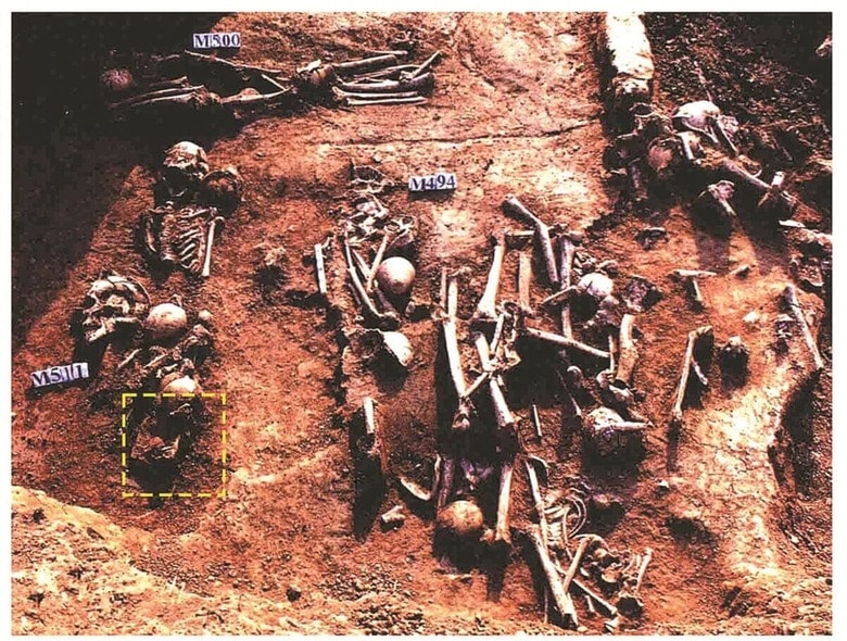 子供の遺骨を加工した のは生前の病気と関係が？（賈湖遺跡）　RONG ET AL.