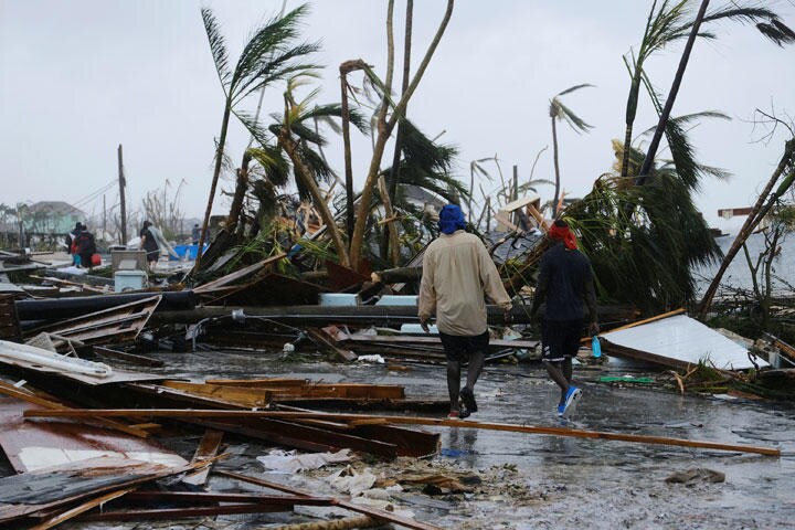 最強ハリケーン・ドリアンの犠牲になったのは人間だけではなかった（9月2日、バハマ北部のアバコ島）　Dante Carrer-REUTERS