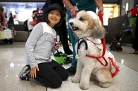 「もふもふ」OK！　米空港で旅行者を癒すセラピー犬増加中