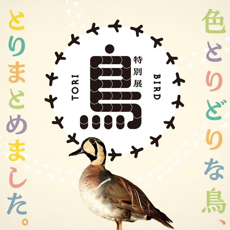 国立科学博物館『鳥 ～ゲノム解析で解き明かす新しい鳥類の系統～』展