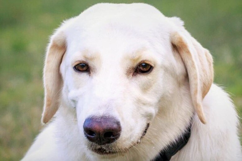 （写真はイメージです）　Kuziki-iStock