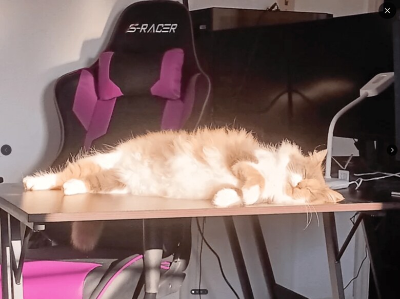 スクリーンショット (82).png