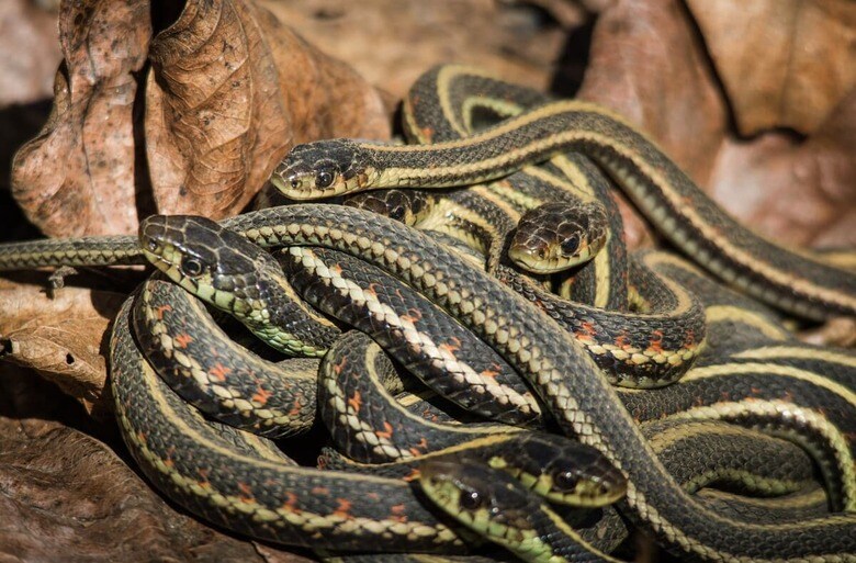 （写真はイメージです）　ChristinaPrinn-iStock