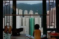 中国の締め付け強化で自由を失う香港　引き裂かれる家族と社会の絆
