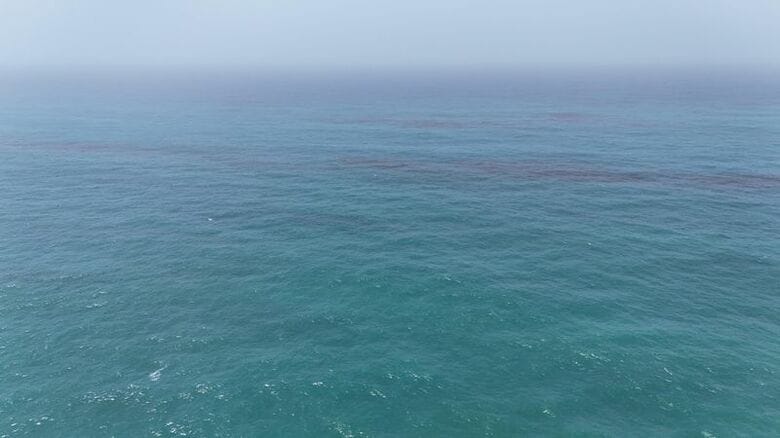 写真はオマーン沖に油膜が広がる様子。8月10日、オマーン通信社提供。REUTERS