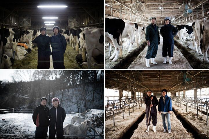 福島県浪江町で酪農を営んでいた三瓶利仙・恵子夫妻は、原発事故で故郷を追われた後も避難先で何とか酪農を続けようと奮闘した