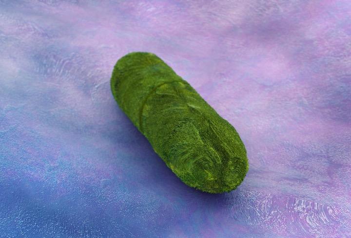 中国で相次いでペスト患者が発生している......　luismmolina-iStock