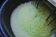 藻類の力で「貴金属リサイクル率」向上...日本発スタートアップ、ガルデリアの世界戦略