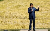衆院選、５割超の企業が与党３分の２を割り込むことを希望