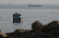 海峡巡るオマーンとの交渉順調、地域防衛協定懸念せず　イラン表明