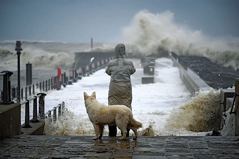 FINNBARR WEBSTER/GETTY IMAGES