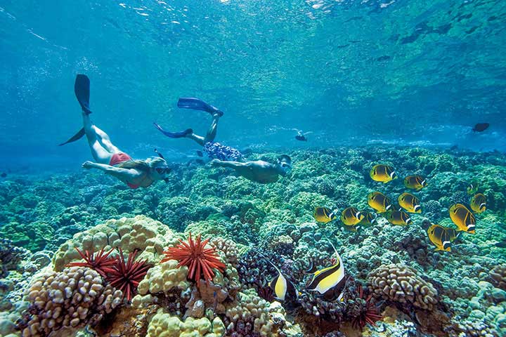 サンゴ礁の保護は海洋生物だけでなくハワイの観光業を守ることにもつながる　DAVID FLEETHAM-VW PICS-UIG/GETTY IMAGES