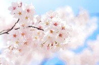 事件記者、保育士になる？「事件取材の鬼」と呼ばれた元朝日新聞記者が選んだセカンドキャリア